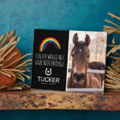 Rainbow Bridge | Dodenherdenking Paard Geschenk Fotoplaat (Zijkant)