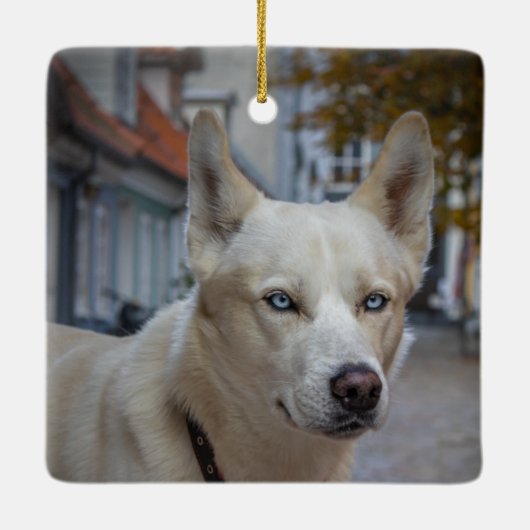 Rainbow Bridge Dog-gedenkteken, aangepaste foto en Keramisch Ornament (Achterkant)