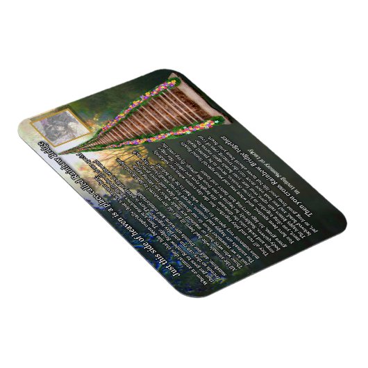 Rainbow Bridge  fotomagneet Magneet (Rechterzijde)