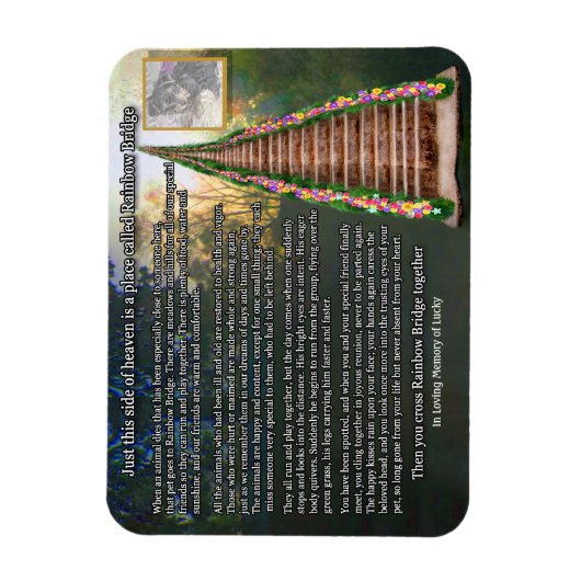 Rainbow Bridge fotomagneet Magneet (Verticaal)