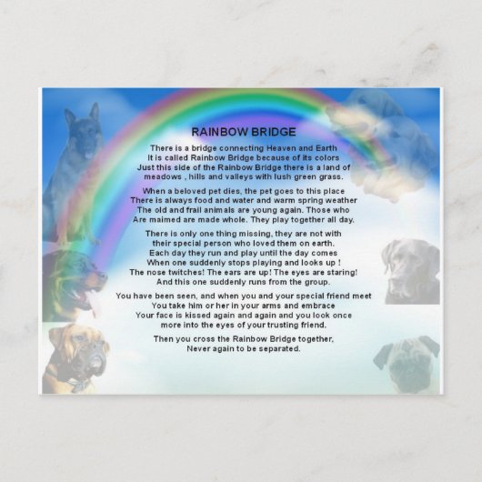 Rainbow Bridge-gedicht Briefkaart (Voorkant)