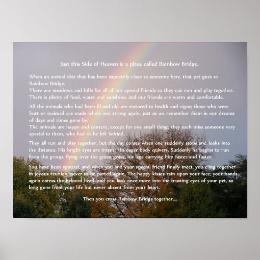Rainbow Bridge gedicht  cadeaus Poster (Voorkant)