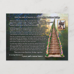 Rainbow Bridge gedicht Pet Loss Sympathy Card Briefkaart