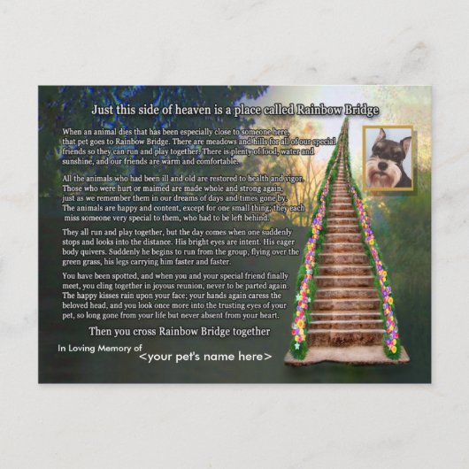 Rainbow Bridge gedicht Pet Loss Sympathy Card Briefkaart (Voorkant)