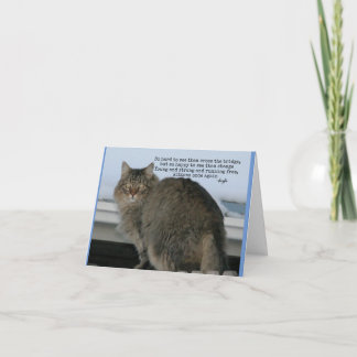 Rainbow Bridge - Gedicht sympathie voor katten Kaart