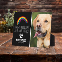 Rainbow Bridge | Herinnering aan huisdier