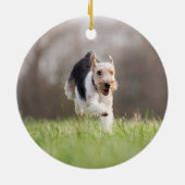 Rainbow Bridge Huisdier Foto Rondje Keramisch Ornament (Achterkant)