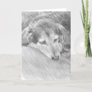 Rainbow Bridge huisdier verlies kaart