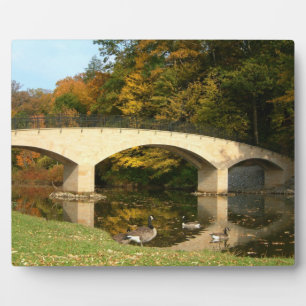 Rainbow Bridge in de herfst bij Grove City College Fotoplaat