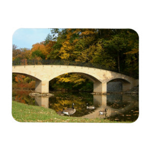 Rainbow Bridge in de herfst bij Grove City College Magneet