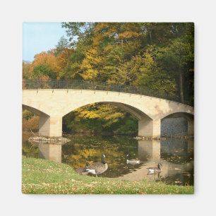 Rainbow Bridge in de herfst bij Grove City College Magneet
