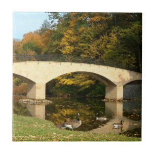 Rainbow Bridge in de herfst bij Grove City College Tegeltje