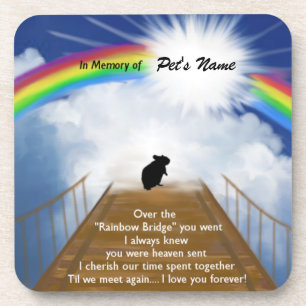 Rainbow Bridge Memorial Poem voor Hamsters Drankjes Onderzetter