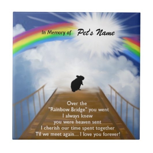 Rainbow Bridge Memorial Poem voor Hamsters Tegeltje (Voorkant)