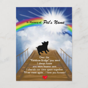 Rainbow Bridge Memorial Poem voor varkens Briefkaart