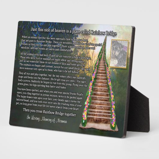 Rainbow Bridge Pet Herdenking Keepomwille Fotoplaat (Zijkant)