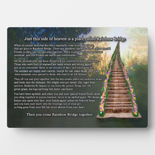 Rainbow Bridge Pet Herdenking Keepomwille Plaque Fotoplaat (voorkant)