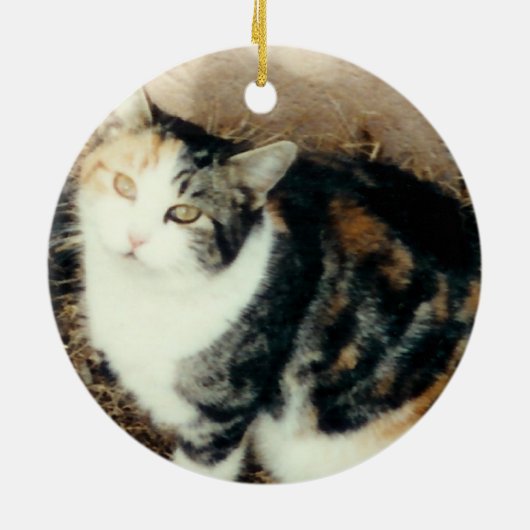 Rainbow bridge pet-herdenkingsfoto Ornament (Achterkant)