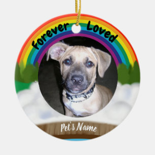 Rainbow Bridge Pet Loss Keramisch Ornament
