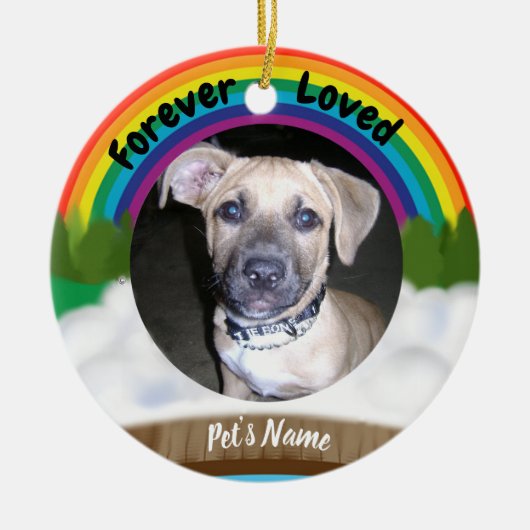 Rainbow Bridge Pet Loss Keramisch Ornament (Voorkant)