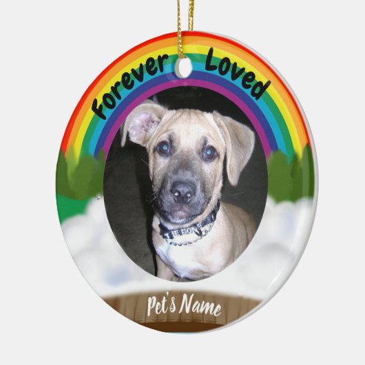 Rainbow Bridge Pet Loss Keramisch Ornament (Links)