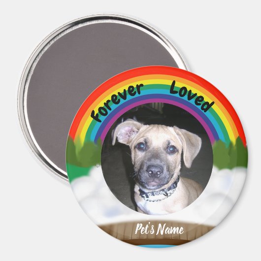Rainbow Bridge Pet Loss Magneet (Voorkant / Achterkant)