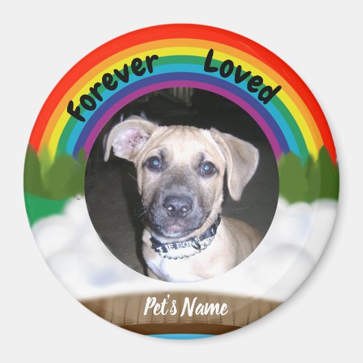 Rainbow Bridge Pet Loss Magneet (Voorkant)