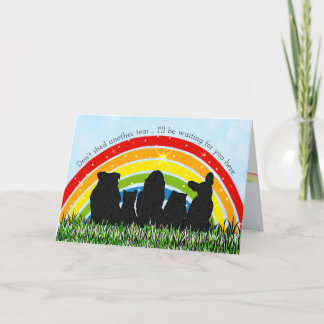 Rainbow Bridge Pet Loss Sympathy Card Kaart