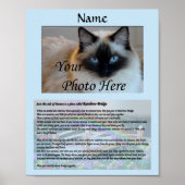 Rainbow Bridge Pet Memorial Blue Poster (Voorkant)