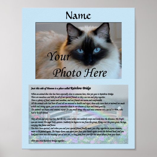 Rainbow Bridge Pet Memorial Blue Poster (Voorkant)