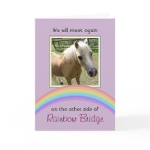 Rainbow Bridge Pet Memorial