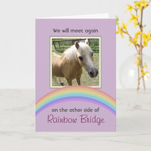  Rainbow Bridge Pet Memorial Kaart (Gele Bloem)