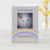  Rainbow Bridge Pet Memorial Kaart (Gele Bloem)