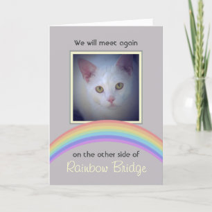  Rainbow Bridge Pet Memorial Kaart