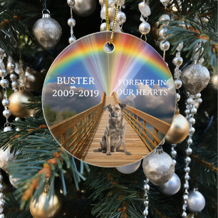 Rainbow Bridge Pet Memorial Loss past zich aan Keramisch Ornament