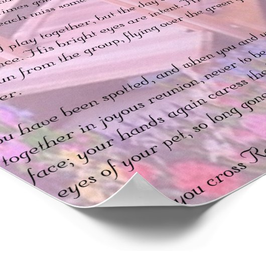 Rainbow Bridge Pet Memorial - Roze Poster (Hoek)