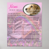 Rainbow Bridge Pet Memorial - Roze Poster (Voorkant)