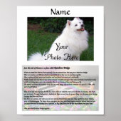 Rainbow Bridge Pet Memorial White Poster (Voorkant)