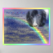 Rainbow Bridge Poem Pet Loss Memorial Poster (Voorkant)