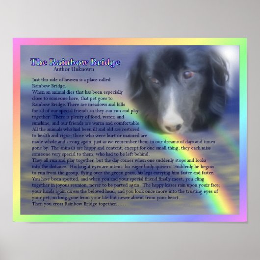 Rainbow Bridge Poem Pet Loss Memorial Poster (Voorkant)