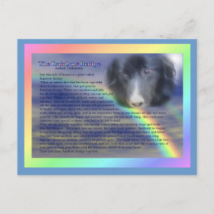 Rainbow Bridge Poem Pet verliest sympathie Briefkaart