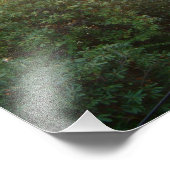 Rainbow Bridge Sunset at Grove City College Foto Afdruk (Hoek)