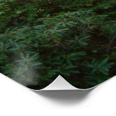 Rainbow Bridge Sunset at Grove City College Perfect Poster (Hoek)