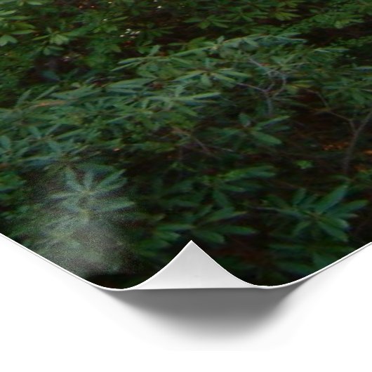 Rainbow Bridge Sunset at Grove City College Perfect Poster (Hoek)