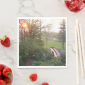 Rainbow Bridge Sunset at Grove City College Servet (Insitu)