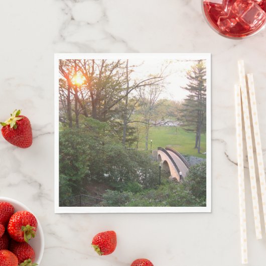 Rainbow Bridge Sunset at Grove City College Servet (Insitu)