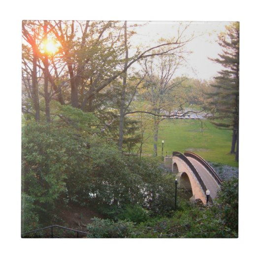 Rainbow Bridge Sunset at Grove City College Tegeltje (Voorkant)