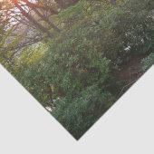 Rainbow Bridge Sunset at Grove City College Tissuepapier (Detail)