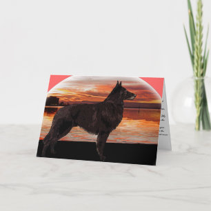 Rainbow Bridge-sympathikaart: Belgische Tervuren Kaart
