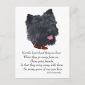 Rainbow Bridge van Black Cairn Terrier Briefkaart (Voorkant)